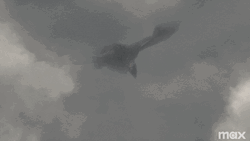 Flying House Vhagar Dragon GIF