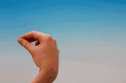 Focused Italian Hand Gesture GIF