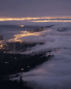 Fog Flowing Around GIF