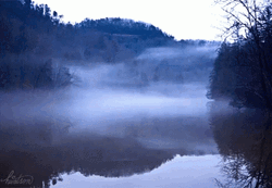 Fog In The Lake GIF