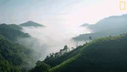 Fog In The Mountains GIF