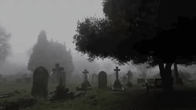 Foggy Cemetery With Graves And Trees GIF