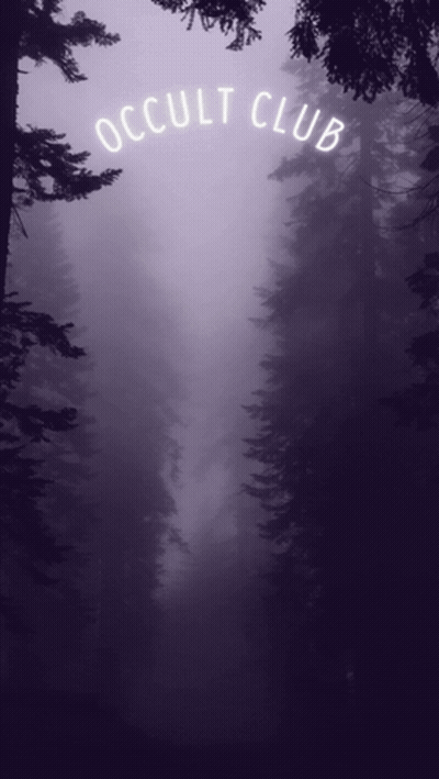 Foggy Forest Occult Club GIF
