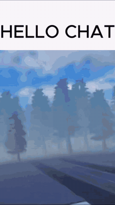 Foggy Forest Saying Hello Chat GIF