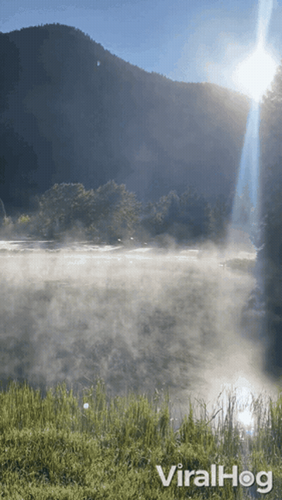 Foggy Lake With Viralhog GIF