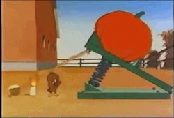 Foghorn Leghorn Hit By Tomato GIF