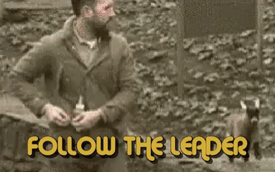 Follow Up With Leaders GIF
