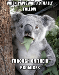 Follow Up Your Promises GIF