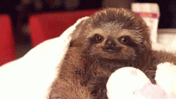 Follow Your Dreams Encouragement GIF