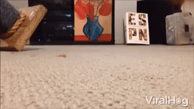 Foot Standing On Carpet Next To Book Called Es Pn GIF