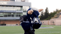Football Bull Mascot Awww Shucks GIF