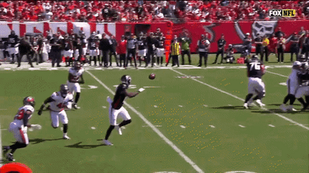 Football Catch Fight GIF