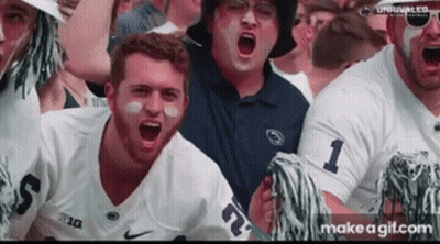 Football Fans Screaming In Stands GIF