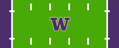 Football Field Saying Touchdown Washington GIF