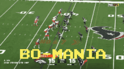 Football Field With Bo-Mania GIF