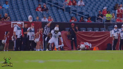 Football Field With Bullpen Logo GIF