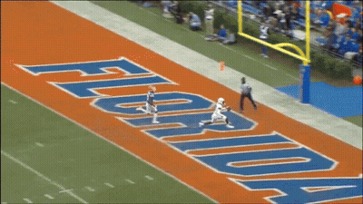 Football Field With Florida On The Side GIF