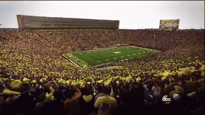 Football Field With Michigan GIF