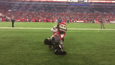 Football Field With Number 20 On Sidelines GIF