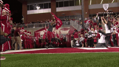 Football Game At Stadium Saying Networks GIF