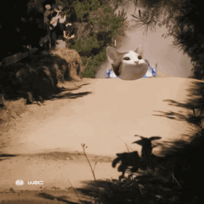 Football Game Between Den And Was 13-14 GIF