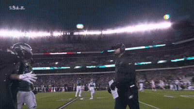 Football Game In Eagles Stadium GIF
