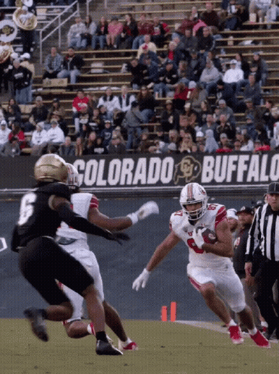Football Game In Front Of Buffalo Banner GIF