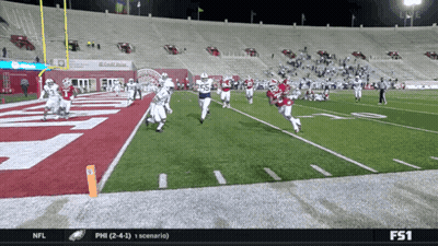 Football Game In Stadium With NFL Logo GIF