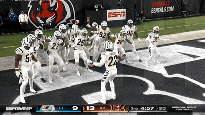 Football Game On ESPN GIF
