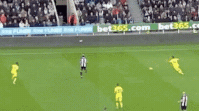 Football Game On Field With Virginia Letters GIF