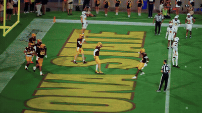 Football Game On Titans Field GIF