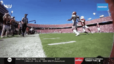 Football Game Referee Walking On Field GIF