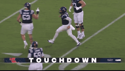 Football Game Touchdown GIF
