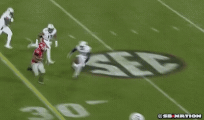 Football Game With Crowd Watching GIF
