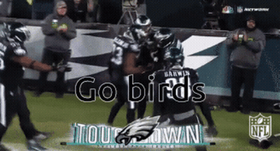 Football Game With Go Birds Tour Down GIF