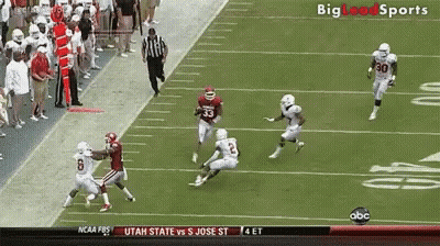 Football Game With Referee Walking On Field GIF