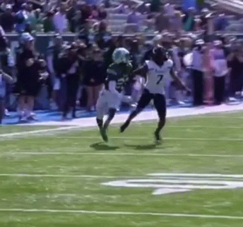 Football Player Catching Pass GIF