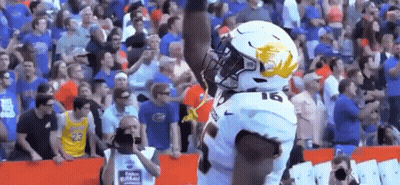 Football Player Celebrating Touchdown In Front Of Fans GIF