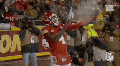 Football Player Celebrating Touchdown With Crowd GIF