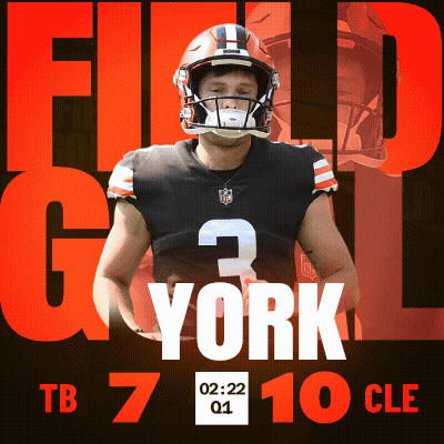 Football Player Helmet Field Goal 3 York GIF