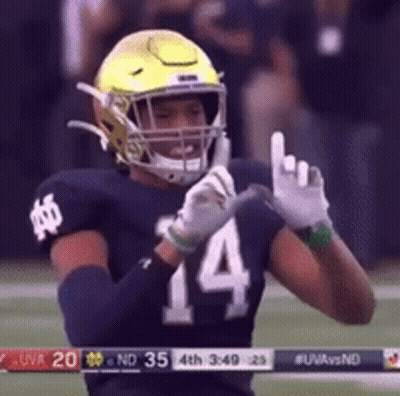 Football Player Helmet Number 14 GIF
