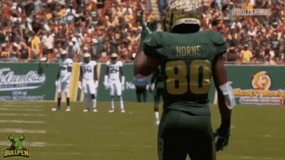 Football Player In Green Jersey With Horne 80 GIF