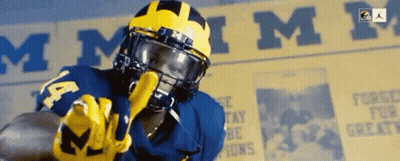 Football Player In Helmet And Number 14 Jersey GIF