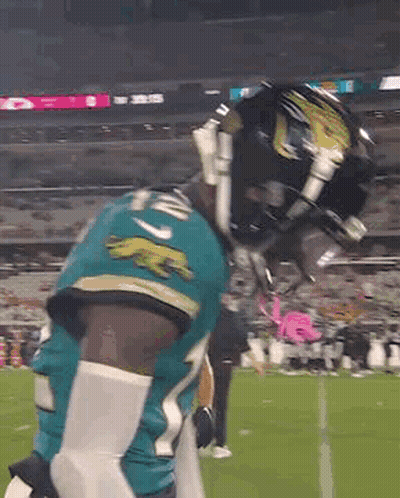 Football Player In Helmet On Field GIF