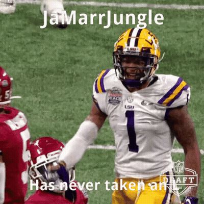 Football Player In Purple And Yellow Jersey GIF