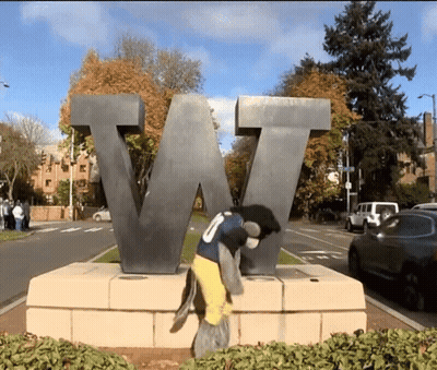 Football Player In Purple Jersey Helmet Saying Davis GIF