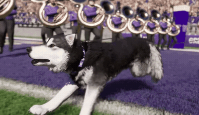 Football Player In Purple Jersey Number 1 GIF