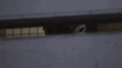 Football Player In White Jersey Number 12 GIF