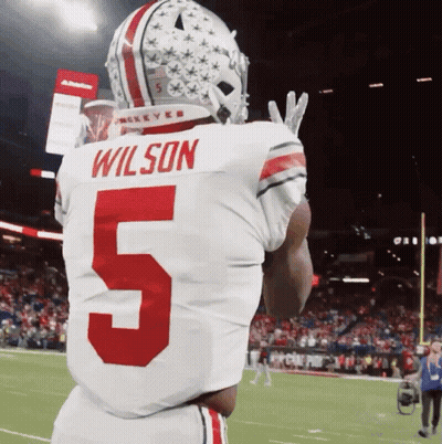 Football Player In White Jersey With Wilson GIF