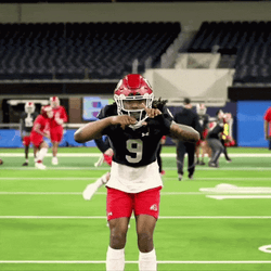 Football Player Kick Football Sunday GIF